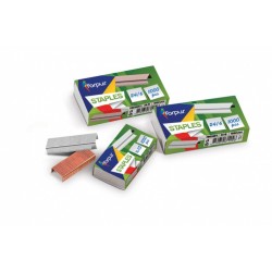 Sąsagėlės Forpus, nr.10 (1000) Sąsagėlės Forpus, nr.10 (1000)