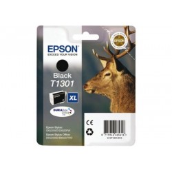 Kasetė Epson T1301 (C13T13014012) OEM